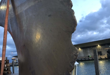 Broken blade at Hirtshals harbour.jpg
