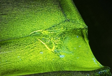 NDT inspections of thruster propeller shaft.jpg